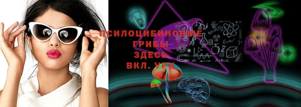 дмт Лиски