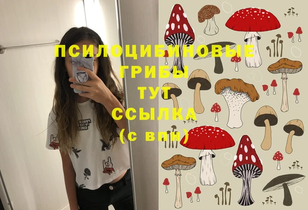 дмт Лиски