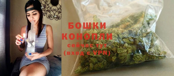 дмт Лиски