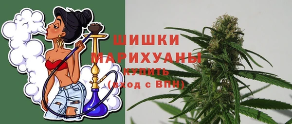 дмт Лиски